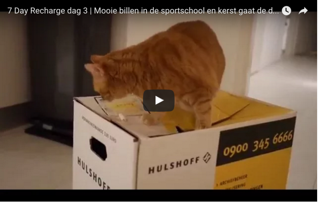 V L O G | 7 Day Recharge #3 Mooie billen in de sportschool en kerst gaat de deur uit!